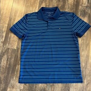 Tommy Hilfiger Blue Striped Polo Shirt